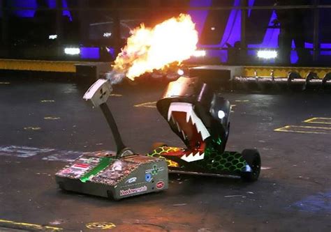 Stream BattleBots .